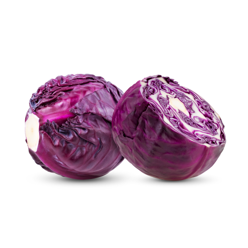 Kapusta czerwona