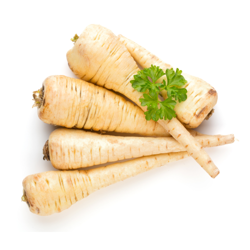 Pietruszka korzeń